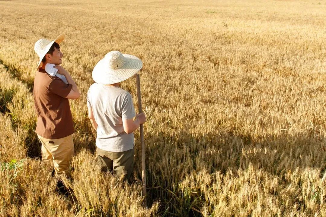 1100万人选择返乡，，怎样助力他们做事创业？？