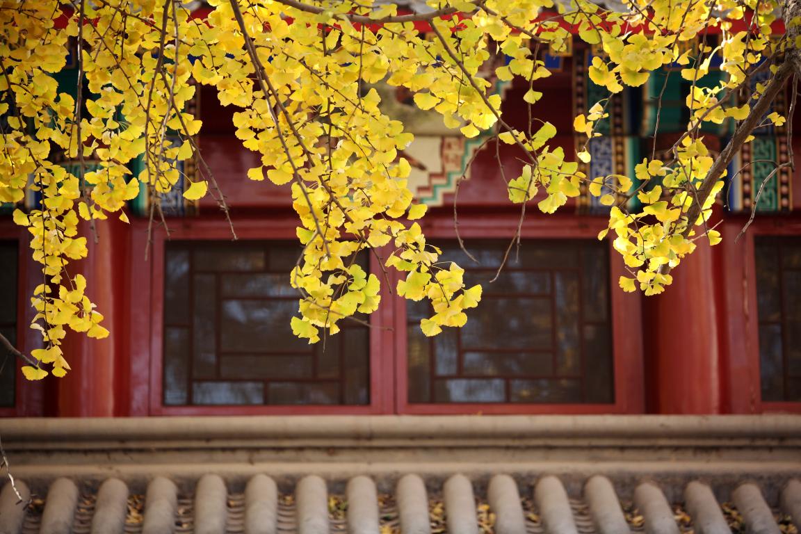 感动 | 确认过眼神，，你是对的人