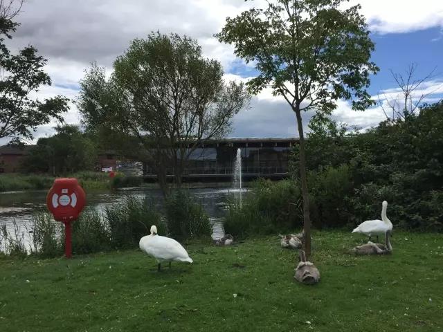 加拿大pc28预测(中国)官方网站