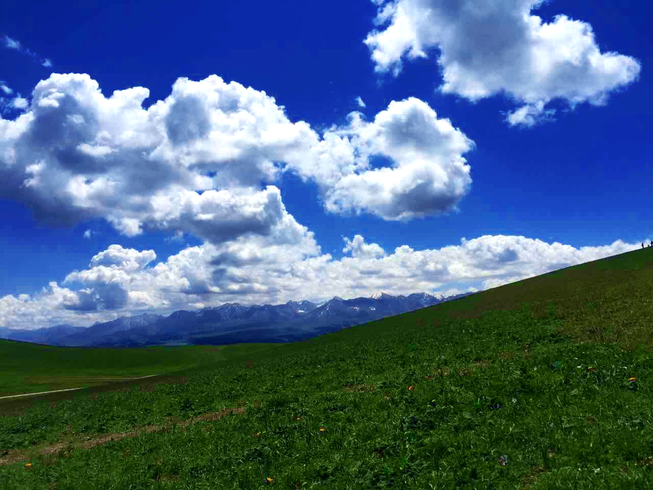 加拿大pc28预测(中国)官方网站