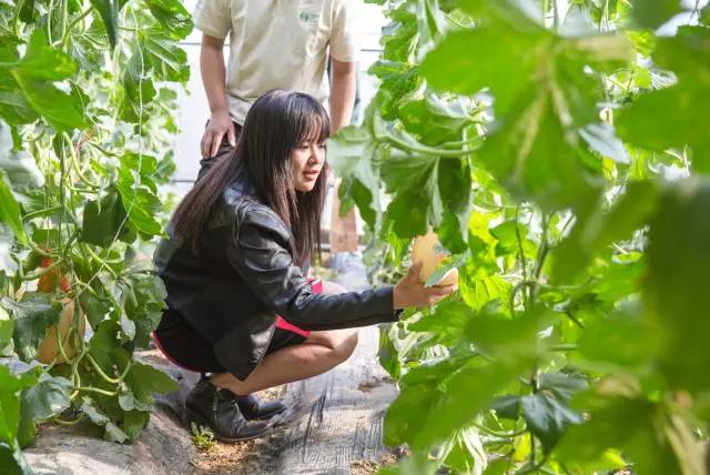 加拿大pc28预测(中国)官方网站