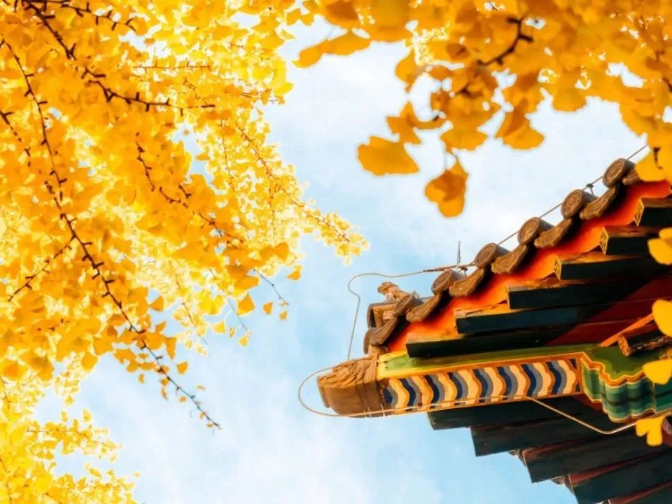 加拿大pc28预测(中国)官方网站