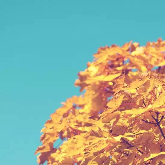 加拿大pc28预测(中国)官方网站