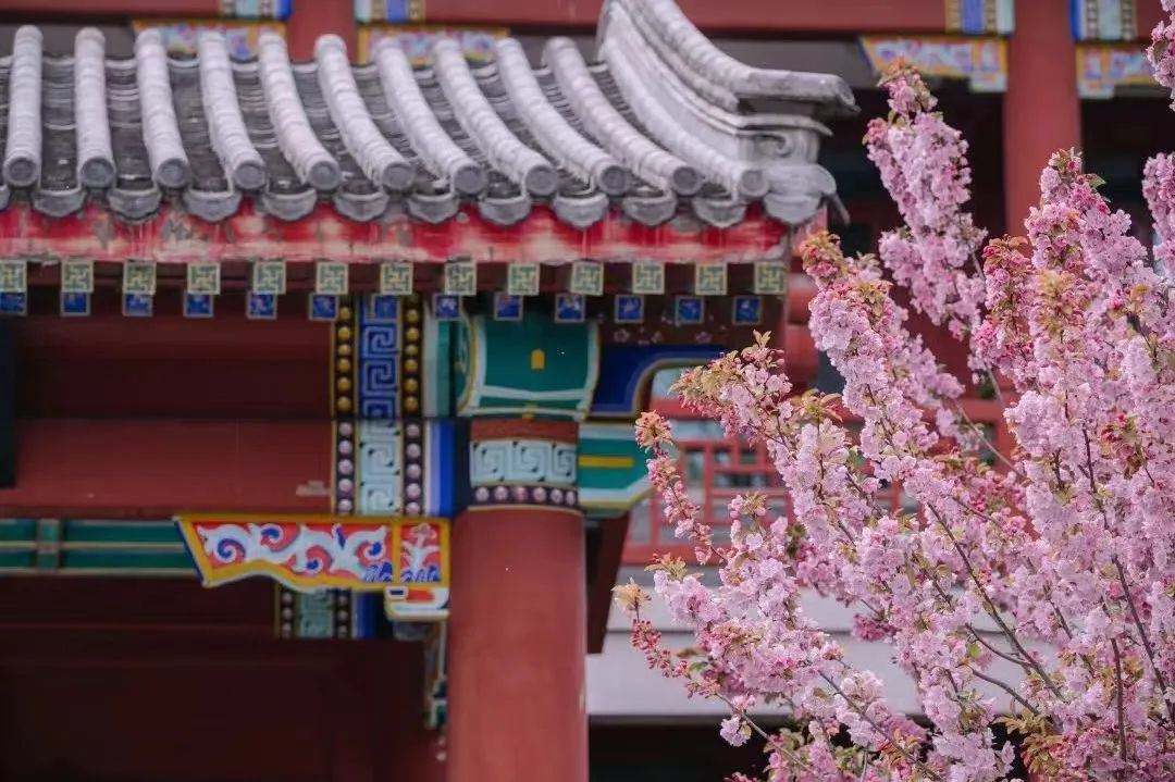 Ů��ʿ���������ԣ�һ��