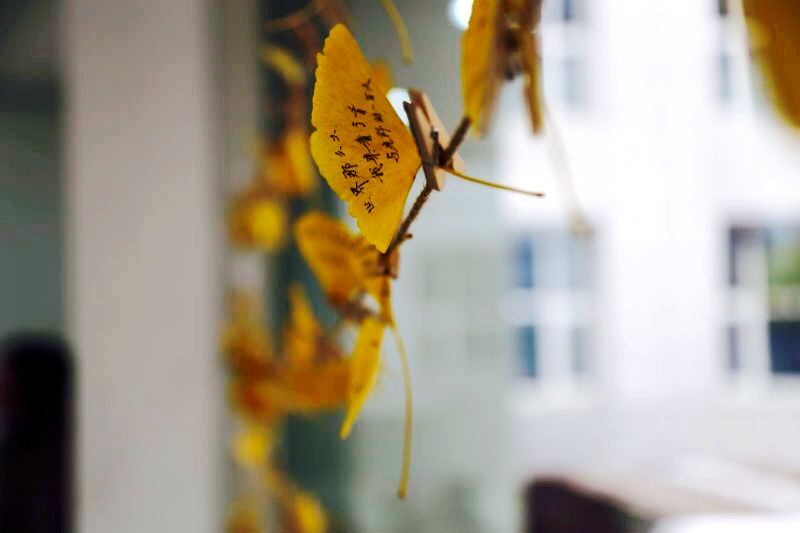 加拿大pc28预测(中国)官方网站