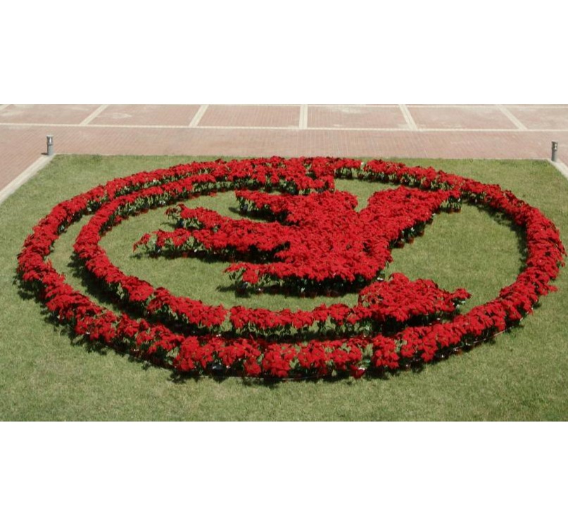 加拿大pc28预测(中国)官方网站