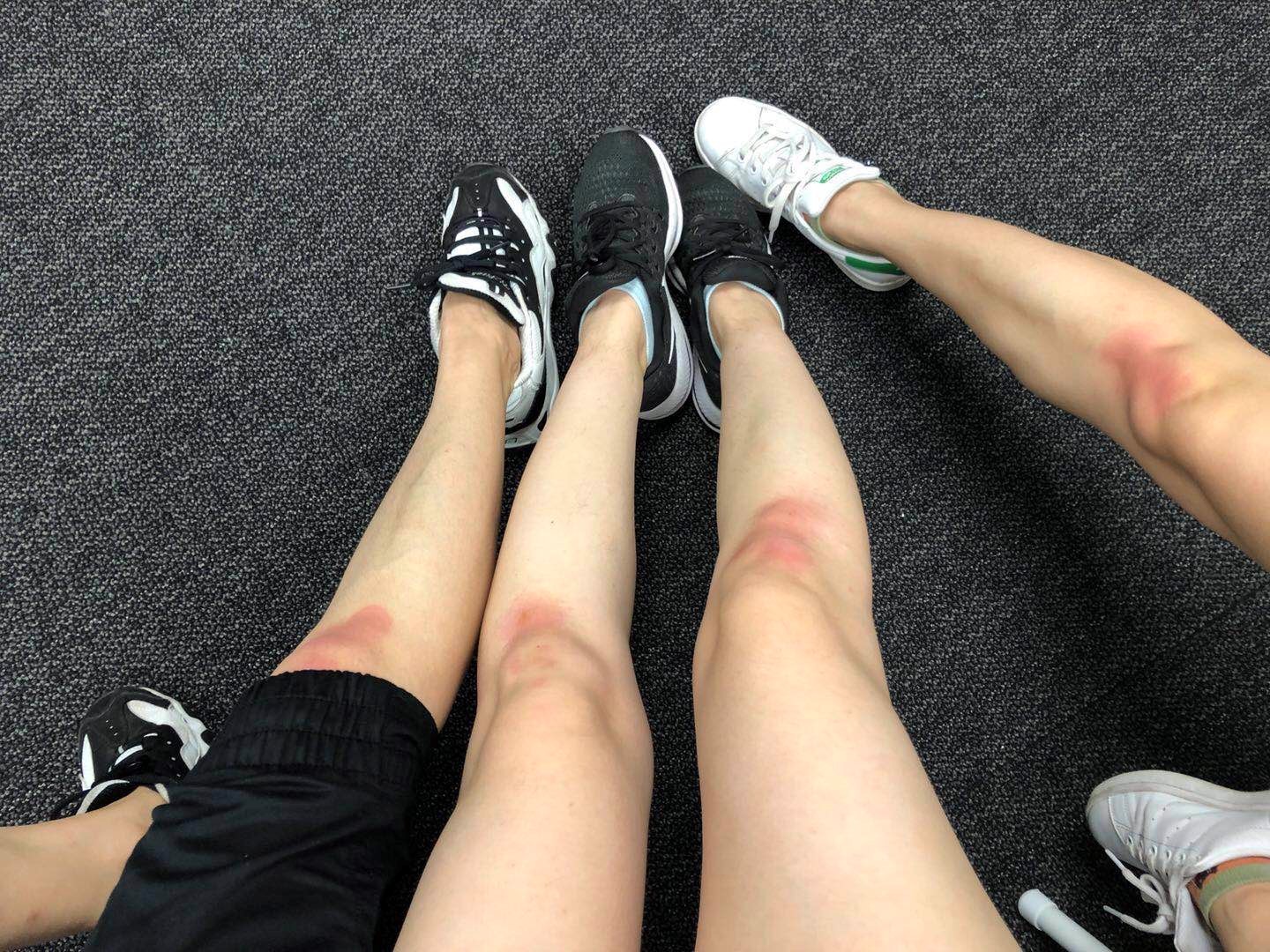 436230139E4D9D53D3F4905C5BB_77E107AB_838B5