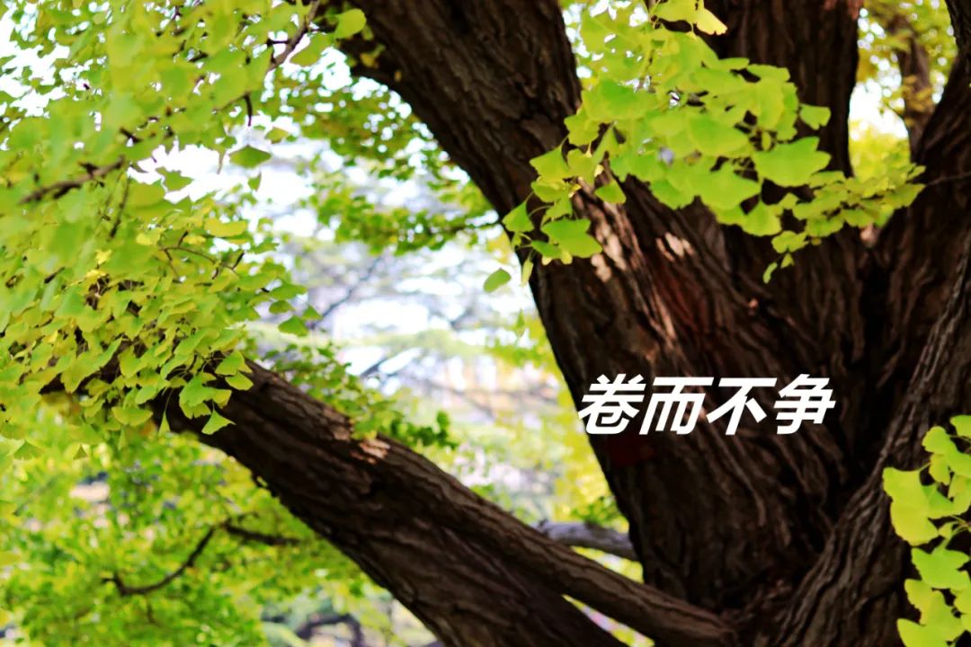 加拿大pc28预测(中国)官方网站