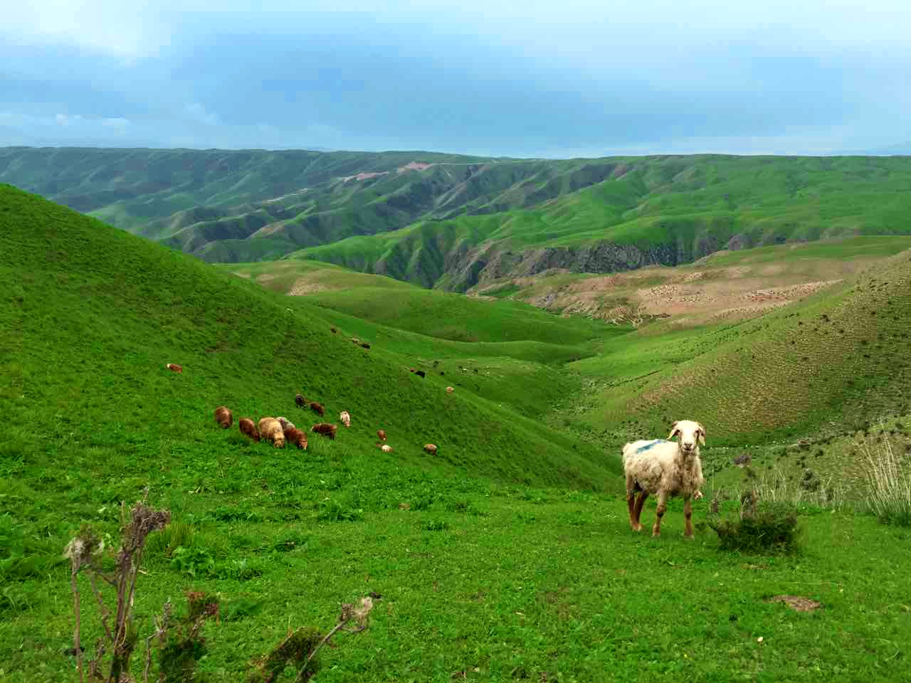 加拿大pc28预测(中国)官方网站