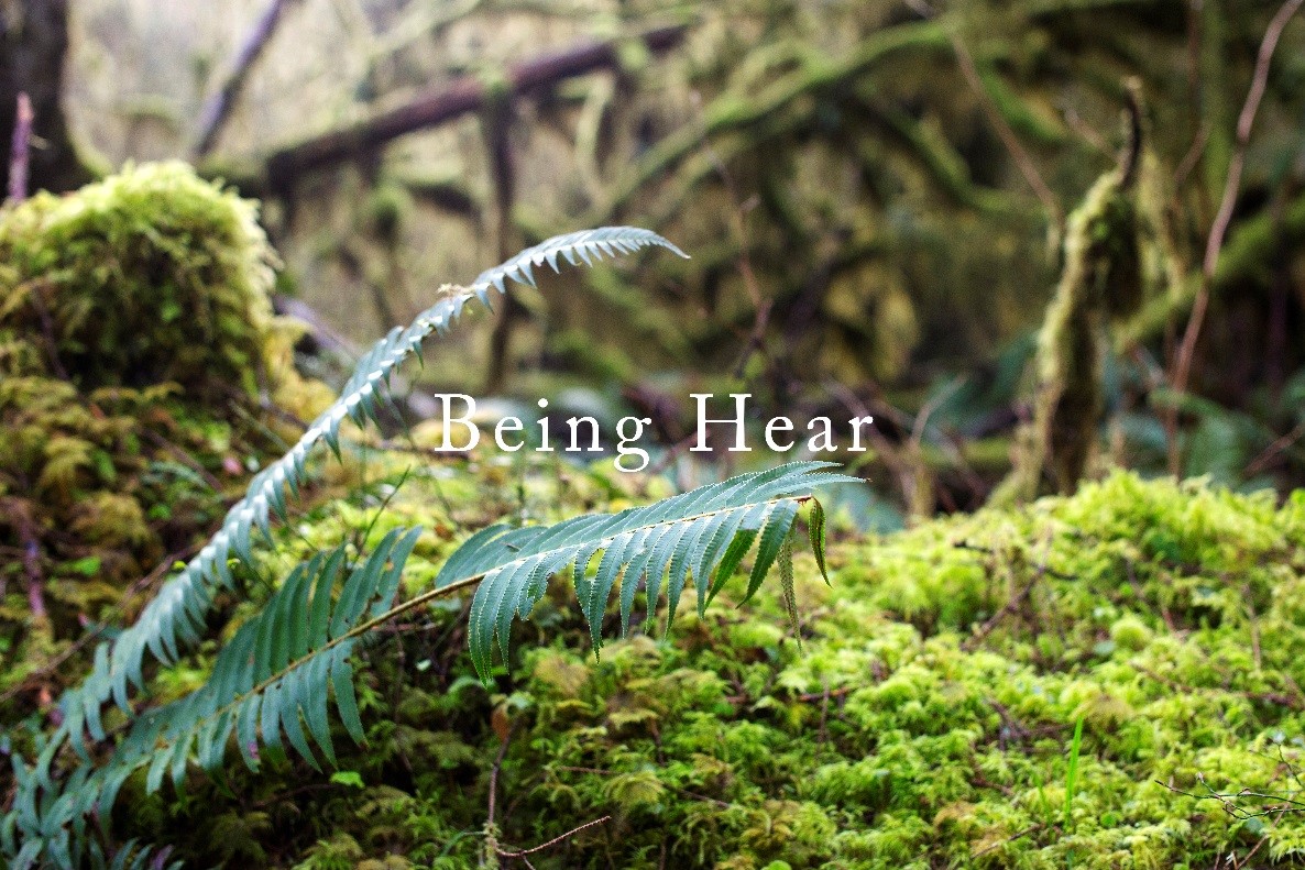 加拿大pc28预测(中国)官方网站