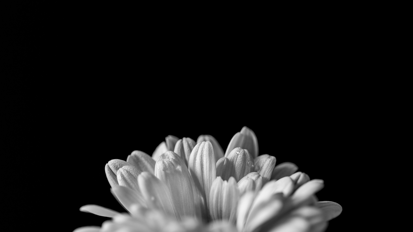 加拿大pc28预测(中国)官方网站