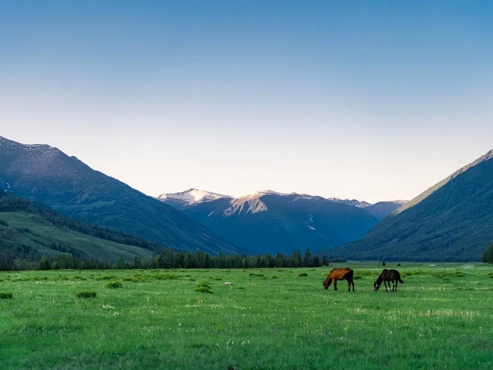 加拿大pc28预测(中国)官方网站