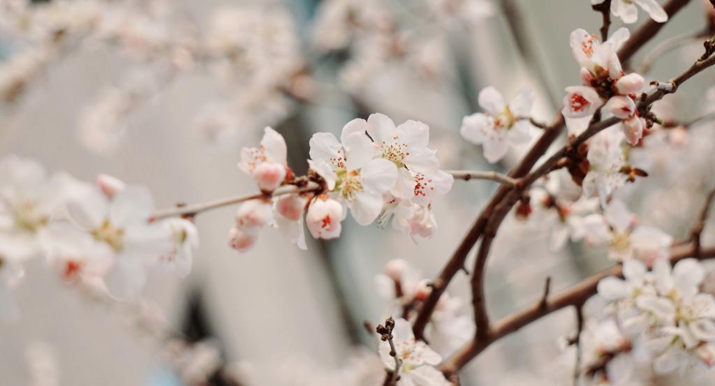 加拿大pc28预测(中国)官方网站