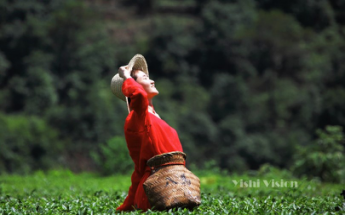 加拿大pc28预测(中国)官方网站