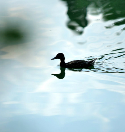 加拿大pc28预测(中国)官方网站