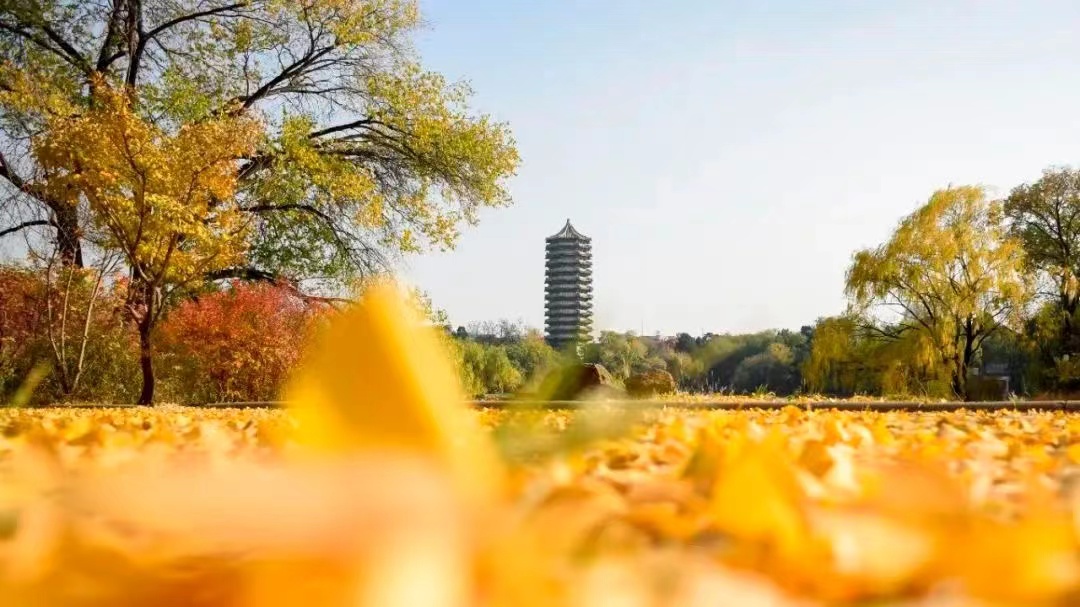 加拿大pc28预测(中国)官方网站