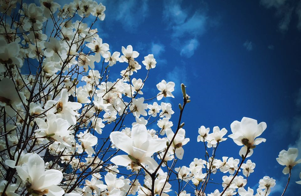 加拿大pc28预测(中国)官方网站