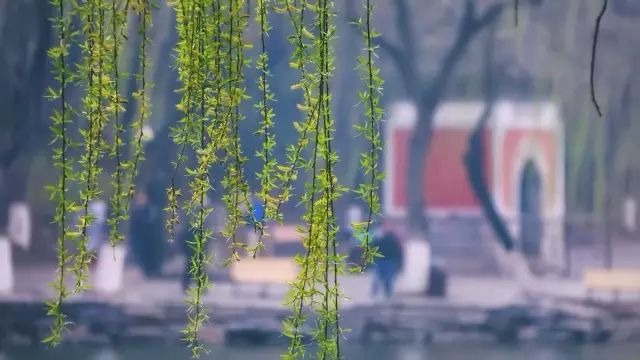 加拿大pc28预测(中国)官方网站