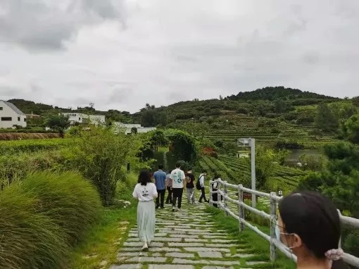 加拿大pc28预测(中国)官方网站