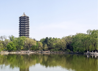 加拿大pc28预测头脑力果真课寓目指南